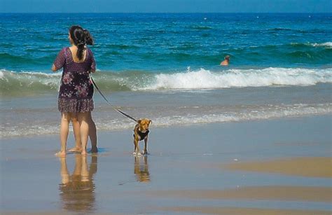 БЛОГ "UM JEITO MANSO" ПРОСИТ МИРА: Cromos da praia neste feriado de ...