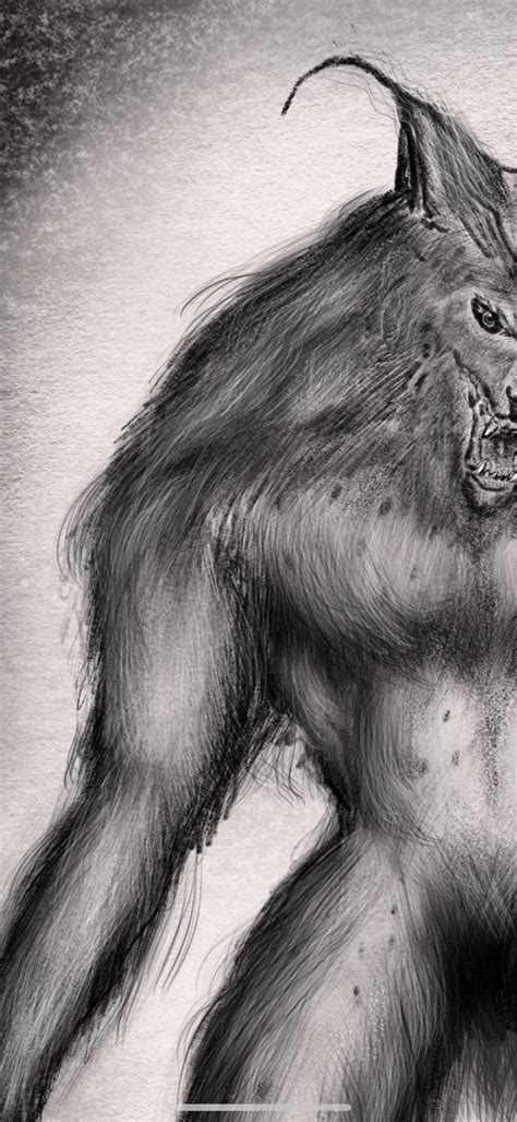 Scary Wolf Drawing at PaintingValley.com | Explore collection of Scary ...
