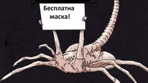 А вот и рабы! — Народный кооператив Украины