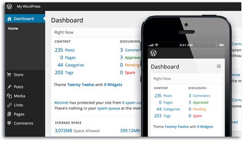 Content Management System - WordPress is The King 8 Reasons