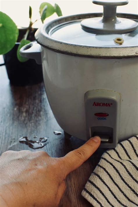 An Easy Guide for How to Cook Barley in a Rice Cooker • The Incredible