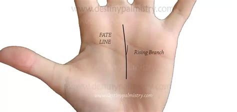 How to tell which career from the fate line - Destiny Palmistry