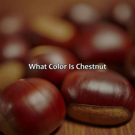 What Color Is Chestnut - colorscombo.com
