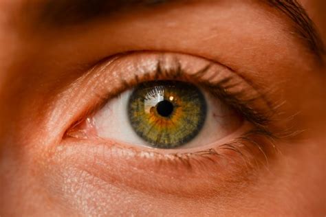 Free Images : eye, iris, blue, close up, organ, eyelash, eyebrow ...