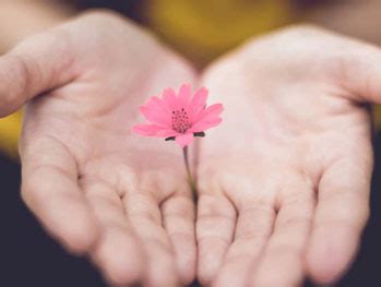 donate  breast cancer research bcrf