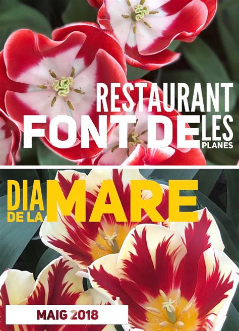 Font De Les Planes 6