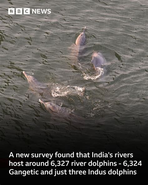 BBC News India | India's longest and most holy river, the Ganga or