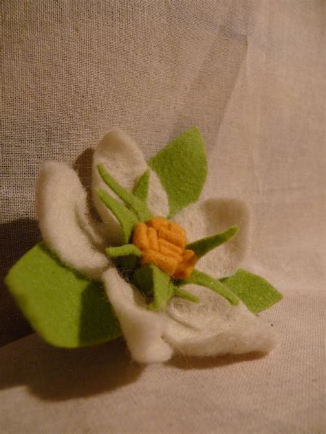 Gay Cruising Spots Va