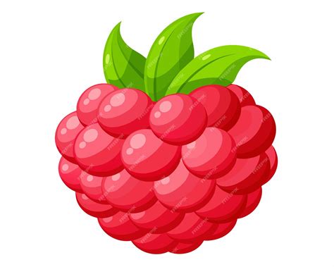 Premium Vector | Red testy Raspberry vector illustration