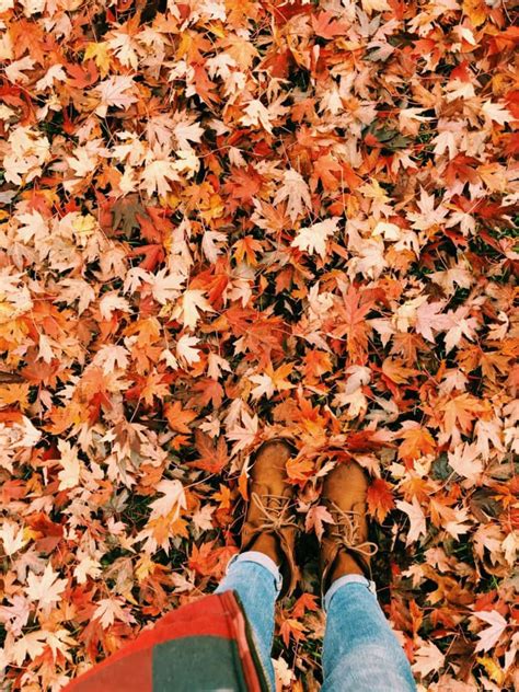 autumn season pictures wallpaperscom