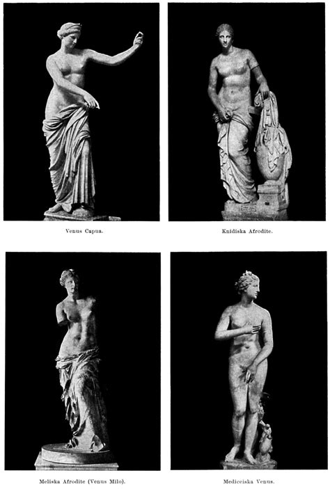 Venus / Afrodita | Goden en godinnen, Godinnen, Griekse goden