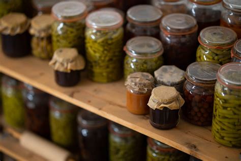 Our Current Healthy Obsessions: Probiotic Rich Foods | Dr. Will Cole