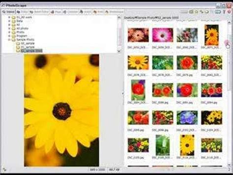 Photoscape - Viewer - YouTube