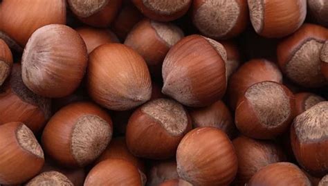 Фундук неочищенный 1кг "Nuts Market" - купить с доставкой по выгодным ...