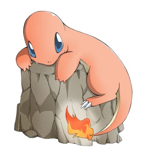 pokemon charmander cute pokemon pokemon