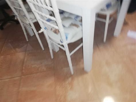2 бяли трапезни маси гр. Варна Възраждане 1 • OLX.bg