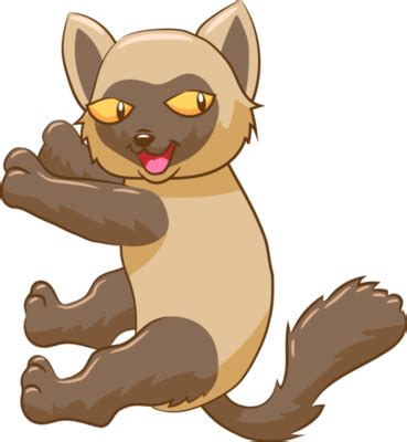 Siamese Cat PNGs for Free Download