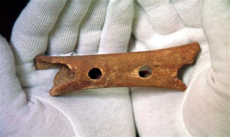 Was "Earliest Musical Instrument" Just a Chewed-Up Bone? | National