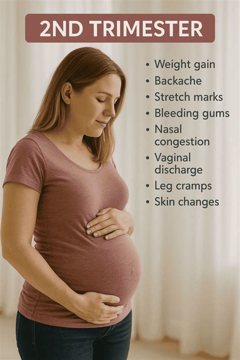 womans body  pregnancy