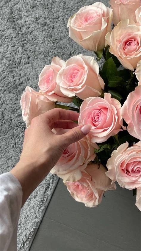 Pin von Qawruy auf Flowers | Blumen