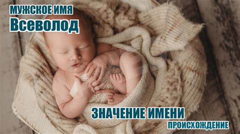Значение имени Всеволод: происхождение, характер и судьба.