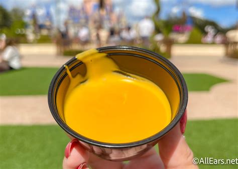 "Iconic for a Reason" — Why Disney Adults Can't Stop Obsessing Over