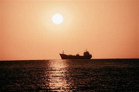 Which animals should a modern-day Noah put in his ark? | The Straits Times