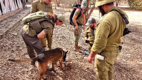 מאמצי איתור הקורבנות נמשכים: יכל איתרו שרידי אדם בעומק השטח