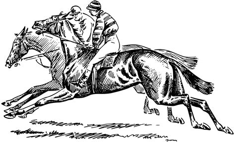 Race Horse Drawing at GetDrawings | Free download