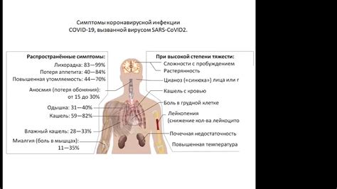 Методы повышения иммунитета. - YouTube