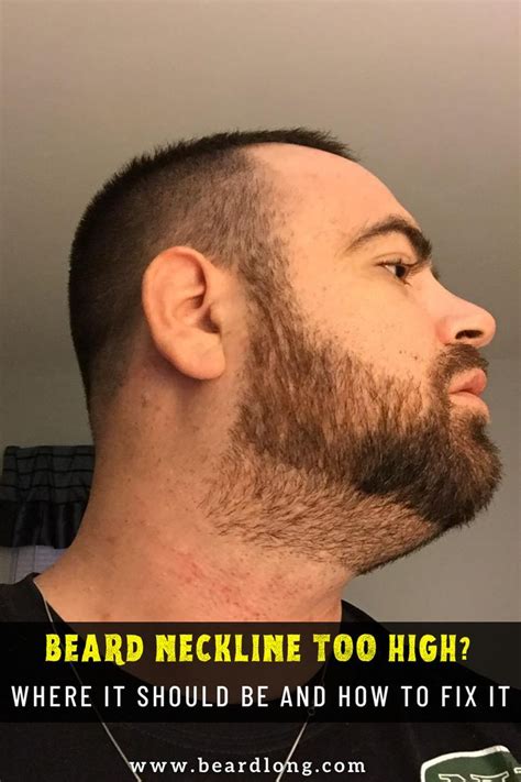 beard neckline artofit