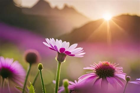 Premium AI Image | purple flowers with the sun behind them
