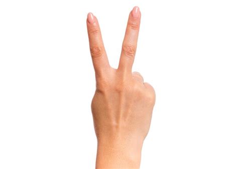 Two Fingers Transparent Images - Free Download on Freepik