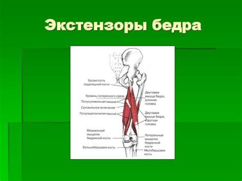 Визуальная диагностика - презентация онлайн