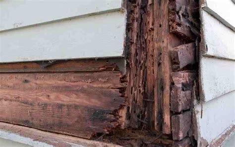 Can Roof Felt Rot? (Must Know These Things) | [2026]
