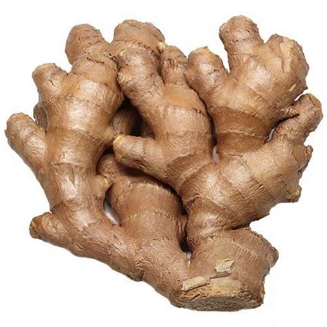 Fresh Ginger at ₹ 20/kilogram(s) | Ginger in Chennai | ID: 11345644348