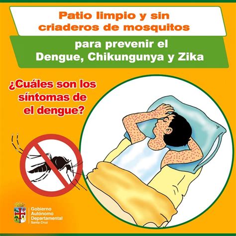 ¿Cuáles son los síntomas de dengue? – eju.tv