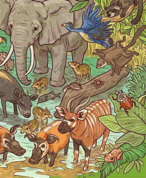 Wild Animals In African Forest