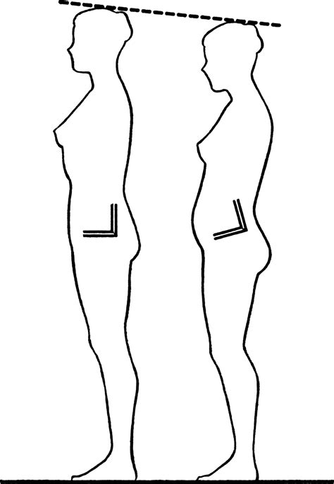 What Is A Pelvic Tilt Definition at Brian Lowenthal blog