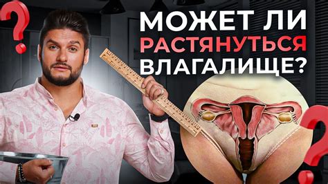 Размер влагалища и количество половых партнеров — есть ли связь? - YouTube