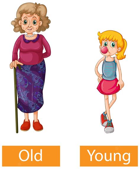 Free Vector | Opposite adjectives words with old and young