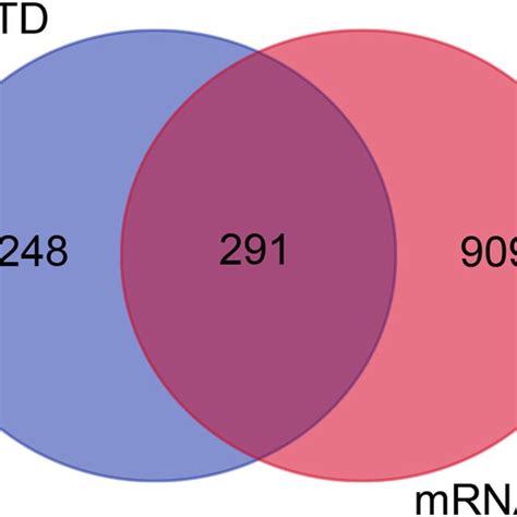 venn diagram  screening mi related mrnas ctd comparative