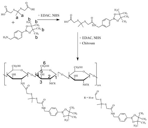 Nanophotosensitizers Composed of Phenyl Boronic Acid Pinacol Ester