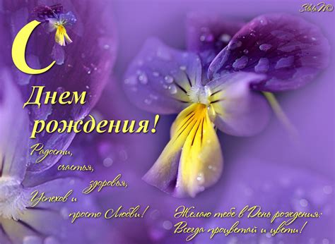 Картинки поздравлений Вера с днем рождения (15 открыток)