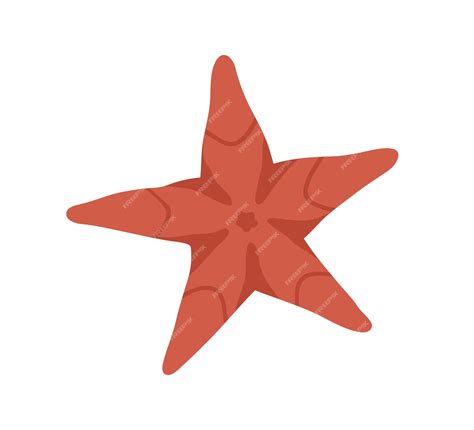 Premium Photo | Sea star fish. marine underwater starfish, mollusc