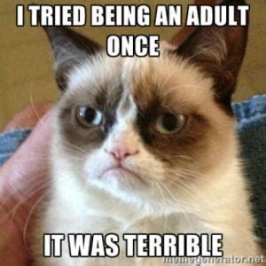 25 Funny Adulting Memes For Panicking Grown Ups - SayingImages.com