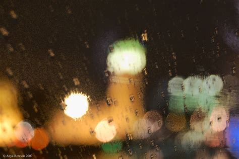 Anya's Photos: Rainy Ben