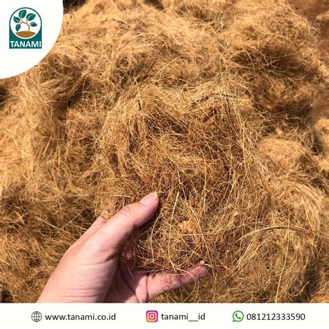 serat sabut kelapa  manfaatnya jual coco peat coconut fiber