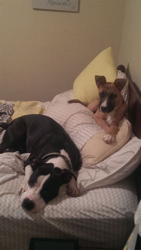 The Nesting Place – Literary Lost