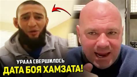 СВЕРШИЛОСЬ! Названа ДАТА боя Хамзата Чимаева / НОВЫЙ соперник для ...